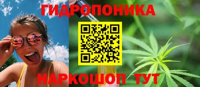 каннабис Будённовск
