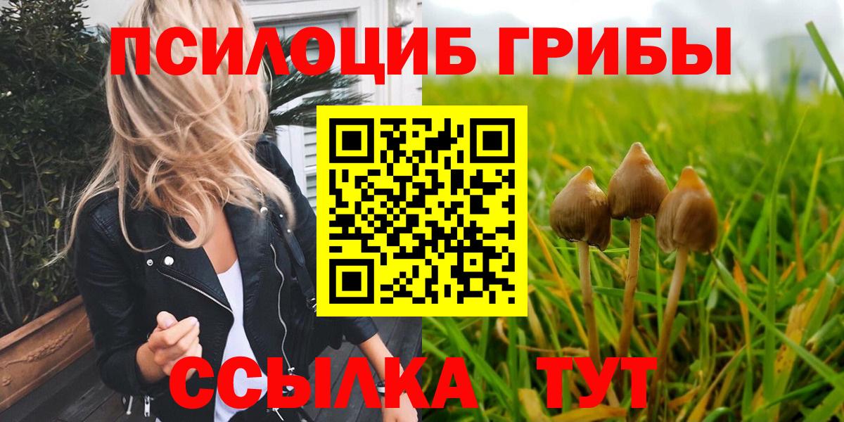 Галлюциногенные грибы Psilocybine cubensis  Вход с VPN  Петрозаводск  Псилоцибиновые грибы Cubensis 